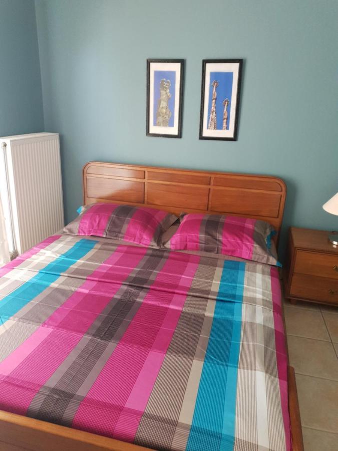 Comfortable Apartment In The Center Of Volos Very Close To The Port מראה חיצוני תמונה