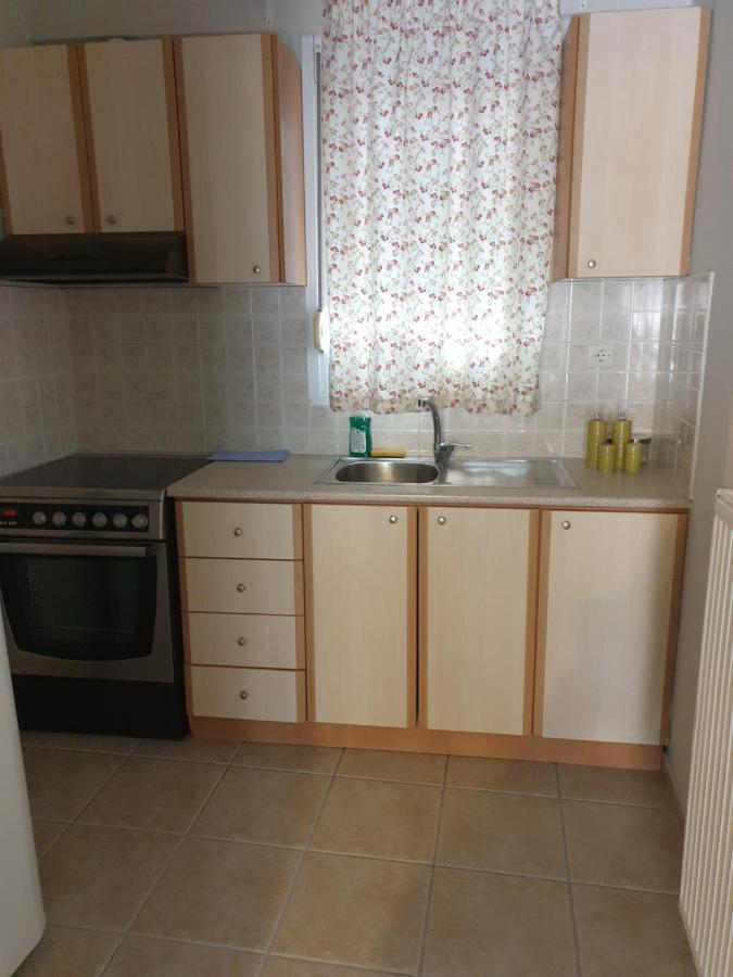Comfortable Apartment In The Center Of Volos Very Close To The Port מראה חיצוני תמונה